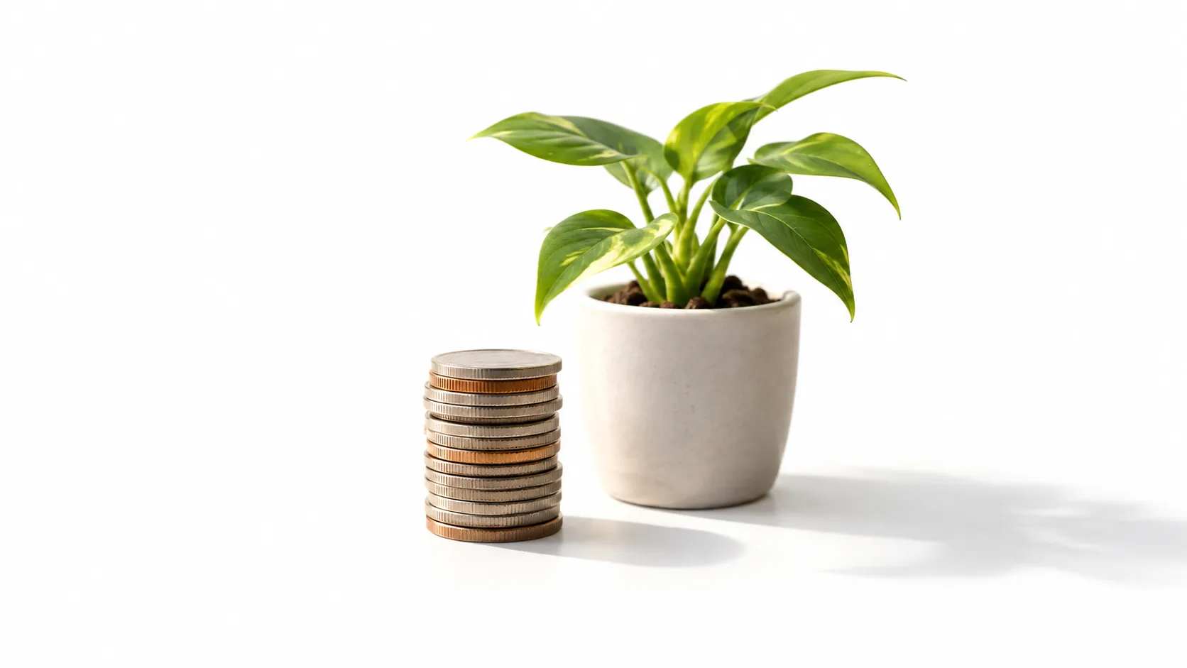Coins on a windowsill representing affiliate commission earnings