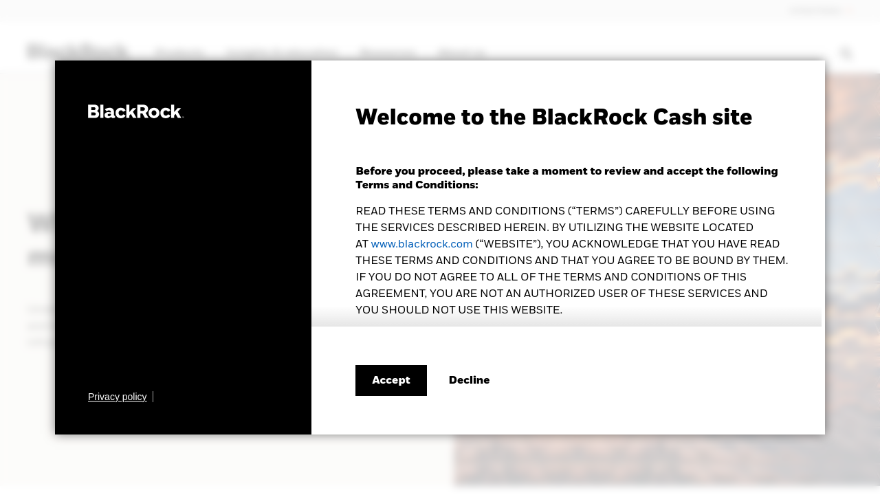 blackrock.com page screenshot